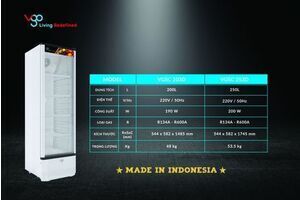 Tủ mát 200 lít VGO VGSC 203D