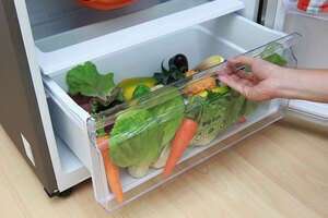 Tủ lạnh Samsung 443 lít RT43K6331SL/SV