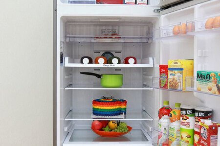 Tủ lạnh Samsung 443 lít RT43K6331SL/SV