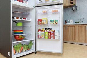 Tủ lạnh Samsung 443 lít RT43K6331SL/SV