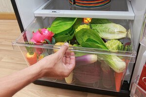 Tủ lạnh Mitsubishi Electric MR-FV24J-BR-V 204L