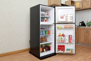 Tủ lạnh Mitsubishi Electric MR-FV24J-BR-V 204L