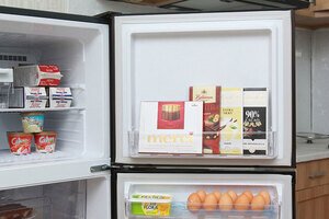 Tủ lạnh Mitsubishi Electric MR-FV24J-BR-V 204L