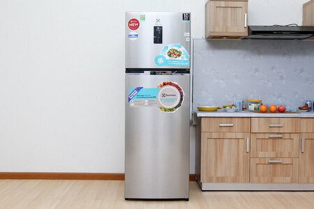 Tủ lạnh Electrolux 349 lít ETE3500AG