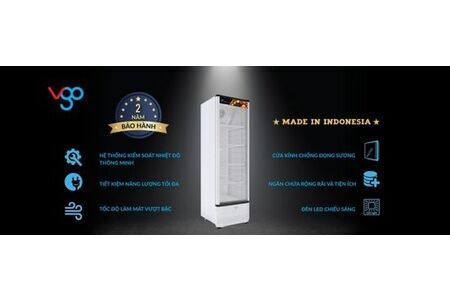 Tủ mát 250 lít VGO VGSC 253D
