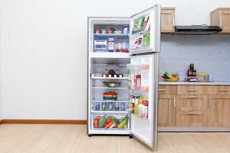 Tủ lạnh Samsung 442 lít RT43K6631SL/SV