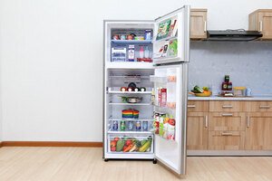 Tủ lạnh Samsung 442 lít RT43K6631SL/SV