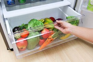 Tủ lạnh Samsung 442 lít RT43K6631SL/SV