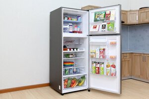 Tủ lạnh Samsung 442 lít RT43K6631SL/SV