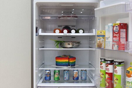 Tủ lạnh Samsung 442 lít RT43K6631SL/SV