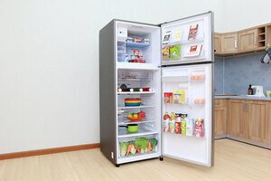 Tủ lạnh Samsung 451 lít RT46K6836SL/SV