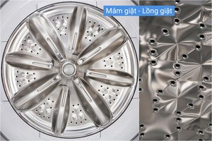 Máy giặt Panasonic 11.5 kg NA-F115V5LRV