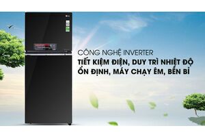 Tủ lạnh LG Inverter 393 lít GN-L422GB