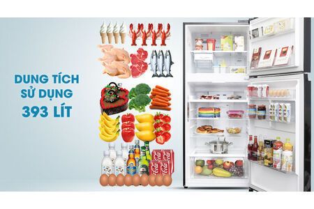 Tủ lạnh LG Inverter 393 lít GN-L422GB