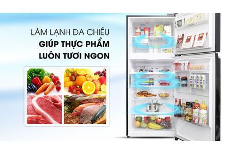 Tủ lạnh LG Inverter 393 lít GN-L422GB