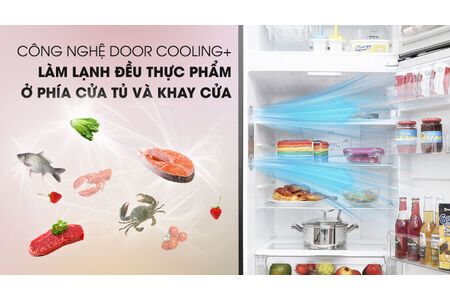 Tủ lạnh LG Inverter 393 lít GN-L422GB