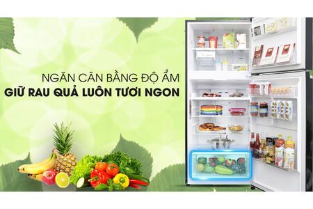 Tủ lạnh LG Inverter 393 lít GN-L422GB