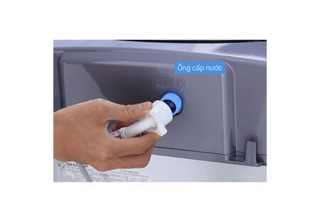 MÁY GIẶT CỬA TRÊN SHARP 9.5 KG U95HVS