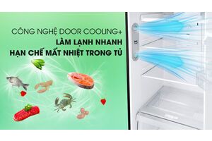 Tủ lạnh LG Inverter 315 lít GN-D315BL