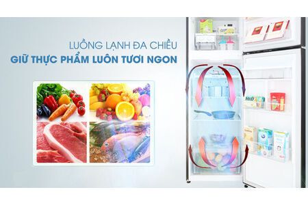 Tủ lạnh LG Inverter 255 lít GN-D255BL