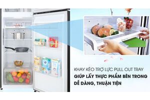 Tủ lạnh LG Inverter 255 lít GN-D255BL