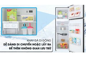 Tủ lạnh LG Inverter 255 lít GN-D255BL