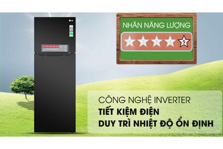 Tủ lạnh LG Inverter 315 lít GN-M315BL