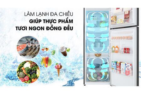 Tủ lạnh LG Inverter 315 lít GN-M315BL