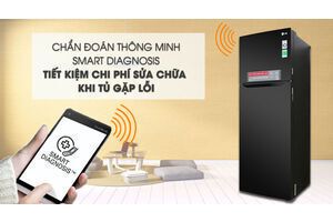 Tủ lạnh LG Inverter 315 lít GN-M315BL