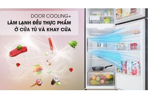 Tủ lạnh LG Inverter 315 lít GN-M315BL