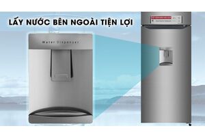 Tủ lạnh LG Inverter 315 lít GN-D315S