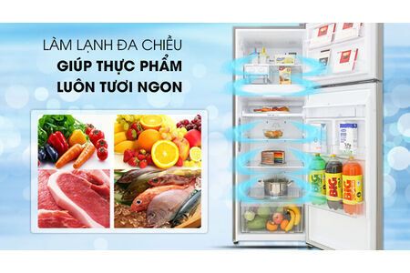 Tủ lạnh LG Inverter 315 lít GN-D315S