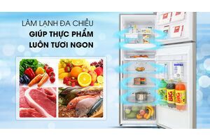 Tủ lạnh LG Inverter 315 lít GN-D315S