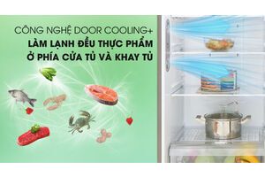 Tủ lạnh LG Inverter 315 lít GN-D315S