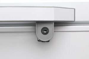 Tủ đông Alaska BD-150 100 lít