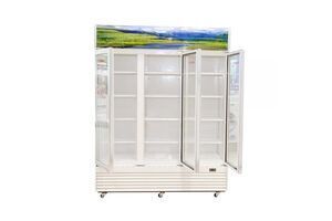 Tủ mát Sanaky VH-1520HP 1500 lít