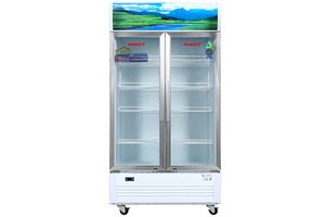 Tủ mát Sanaky Inverter VH-1009HP3 1000 lít
