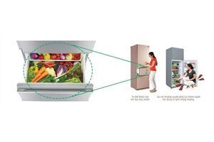 Tủ lạnh Mitsubishi Electric 326 lít MR-CX41EJ-PS-V