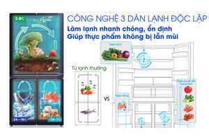 Tủ lạnh Toshiba Inverter 622 lít GR-RF690WE-PGV(24)