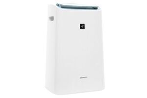 Máy lọc không khí Sharp DW-E16FA-W