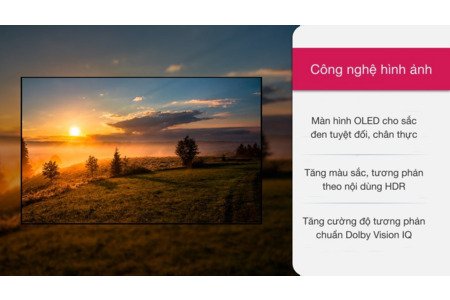 Smart Tivi LG 4K 55 inch 55UP7550PTC