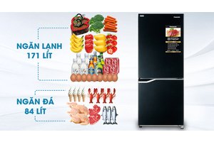 Tủ lạnh Panasonic 255 lít NR-SV280BPKV