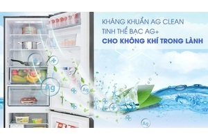 Tủ lạnh Panasonic 255 lít NR-SV280BPKV