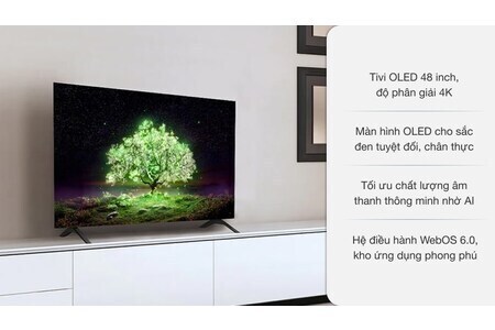 Smart Tivi OLED LG 4K 48 inch OLED48A1PTA
