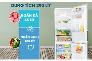 Tủ lạnh Panasonic Inverter 290 lít NR-BV320WSVN