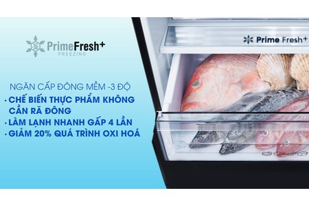 Tủ lạnh Panasonic Inverter 290 lít NR-BV320WSVN