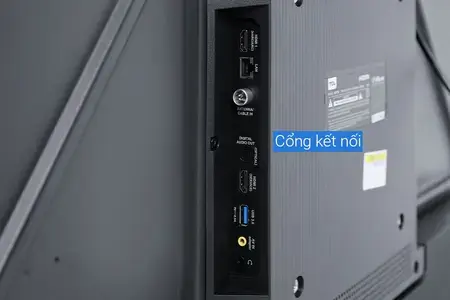 Android Tivi TCL 4K 43 Inch 43P725