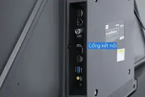 Android Tivi TCL 4K 43 Inch 43P725