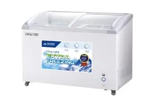 Tủ đông trưng bày Hòa Phát 280 lít HSF AD6280.C1 mặt kính