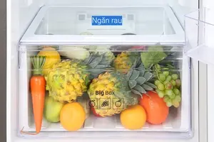 Tủ lạnh Samsung Inverter 299 lít RT29K5532BY/SV
